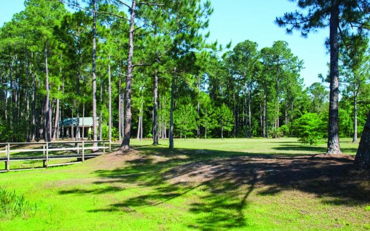 Lake Mary, FL with trees