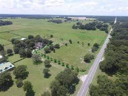 Sorrento, FL with trees and homes